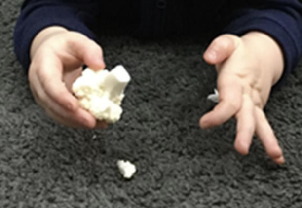 A child breaking a cauliflower into smaller pieces