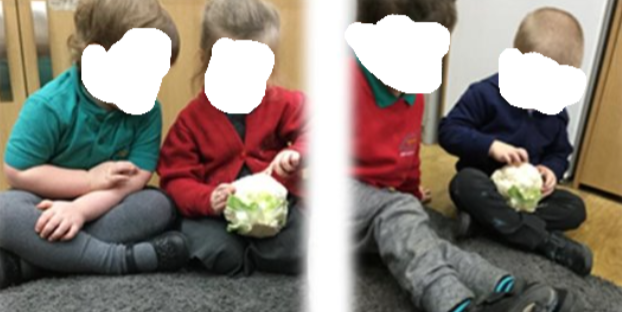A photo showing nursery children looking at a cauliflower