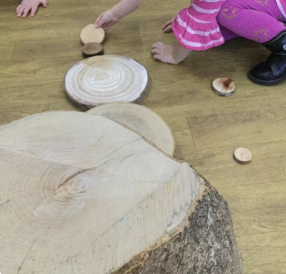 A child ordering sections of tree slices.