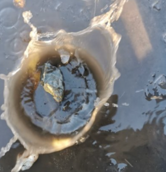 A rock falling into water, creating a splash