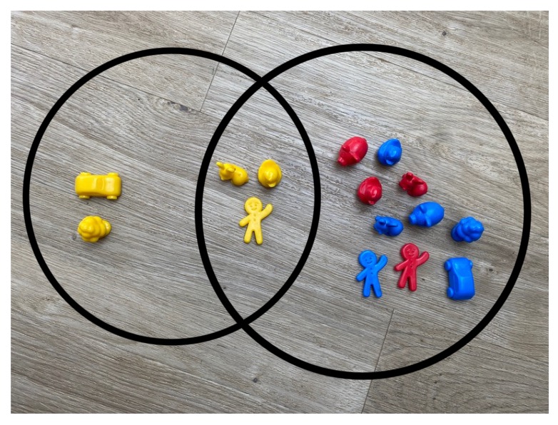 An image of different toys on the floor groupped into three categories and then enclosed by two circles to make a venn diagram. The categories are the ones described in the paragraph above.